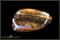 Preview: Yowah Boulder Opal - 46,40ct