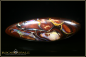 Preview: Yowah Boulder Opal - 46,20ct