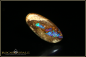 Preview: Winton opalisiertes Holz Boulder Opal - 19,80ct