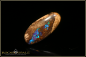 Preview: Winton opalisiertes Holz Boulder Opal - 19,80ct