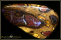 Preview: Yowah Boulder Opal - 105ct