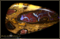 Preview: Yowah Boulder Opal - 105ct