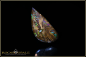 Preview: Koroit Matrix Boulder Opal - 7,39ct