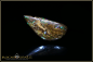 Preview: Koroit Matrix Boulder Opal - 7,39ct