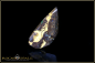 Preview: Koroit Matrix Boulder Opal - 7,39ct