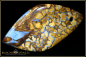 Preview: Yowah Boulder Opal gebohrt - 93,40ct