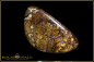 Preview: Yowah Boulder Opal - 37,90ct