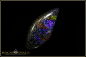 Preview: Andamooka Matrix Opal - 9,24ct