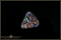 Preview: Koroit Boulder Opal - 4,83ct