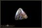 Preview: Koroit Boulder Opal - 4,83ct