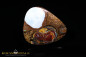 Preview: Yowah Boulder Opal - 16,00ct