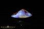 Preview: Winton Boulder Opal - 4,25ct