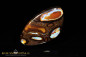 Preview: Yowah Boulder Opal - 35,50ct