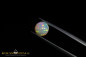 Preview: Welo Opal mit Broadflash Rainbow Muster - 1,33ct