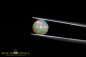 Preview: Welo Opal mit Broadflash Rainbow Muster - 1,33ct