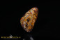 Preview: Bunter Yowah Boulder Opal - 10,00ct