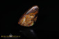 Preview: Bunter Yowah Boulder Opal - 10,00ct