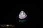 Preview: 4,65ct Winton opalisiertes Holz Boulder Opal