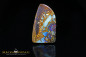 Preview: Tolle Musterung und gute Farbe - Koroit Boulder Opal - 28,23ct