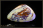 Preview: Yowah opalisiertes Holz Boulder Opal - 52,50ct