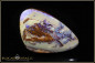 Preview: Yowah opalisiertes Holz Boulder Opal - 52,50ct