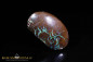 Preview: Winton Matrix Boulder Opal - 30,06ct