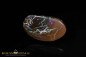 Preview: Winton Matrix Boulder Opal - 30,06ct