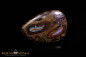 Preview: Yowah Boulder Opal - 38,40ct