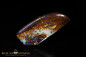 Preview: Koroit Boulder Opal mit toller Musterung und blauen Opaleinschlüssen - 32,37ct