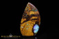 Preview: Yowah Boulder Opal - 46,26ct