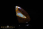 Preview: Koroit Boulder Opal - 19,05ct