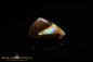 Preview: Koroit Boulder Opal - 19,05ct