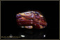 Preview: Yowah Boulder Opal - 69,37ct