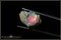 Preview: 5,00ct Ethiopian rough Opal