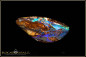 Preview: Koroit opalisiertes Holz Boulder Opal - 15,22ct