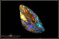 Preview: Koroit opalisiertes Holz Boulder Opal - 15,22ct