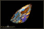 Preview: Koroit opalisiertes Holz Boulder Opal - 15,22ct