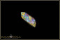 Preview: Black Gate Boulder Opal - 5,00ct