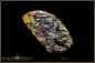 Preview: Yowah Boulder Opal - 64,20ct - Kopie