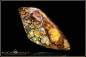 Preview: Opalton Boulder Opal - 31,94ct