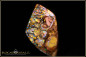 Preview: Opalton Boulder Opal - 31,94ct