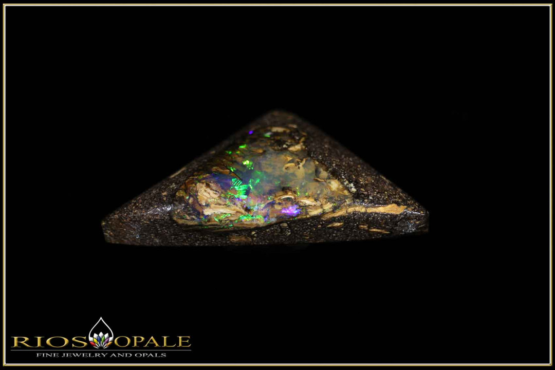 Winton opalisiertes Holz Boulder Opal - 20,32ct