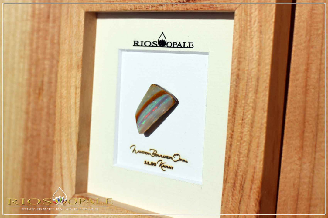 Winton Boulder Opal - 11,90ct - Black Edition im 12x12cm Gleditschie Holzrahmen