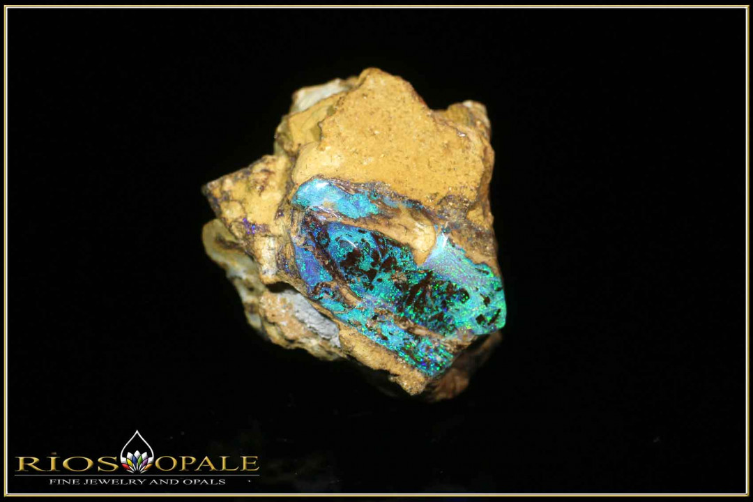 Yowah Boulder Opal mit opalisiertem Holz poliert im Muttergestein - 31,01ct