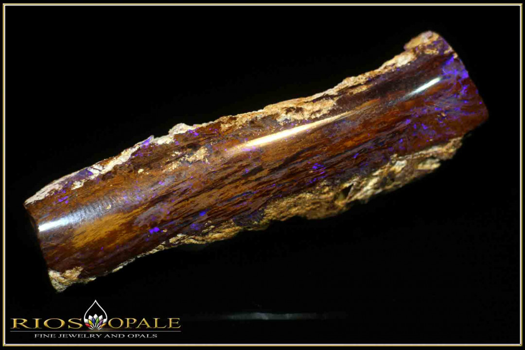 Lightning Ridge opalisiertes Holz Opal - 31,90ct