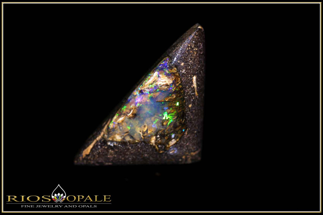 Winton opalisiertes Holz Boulder Opal - 20,32ct