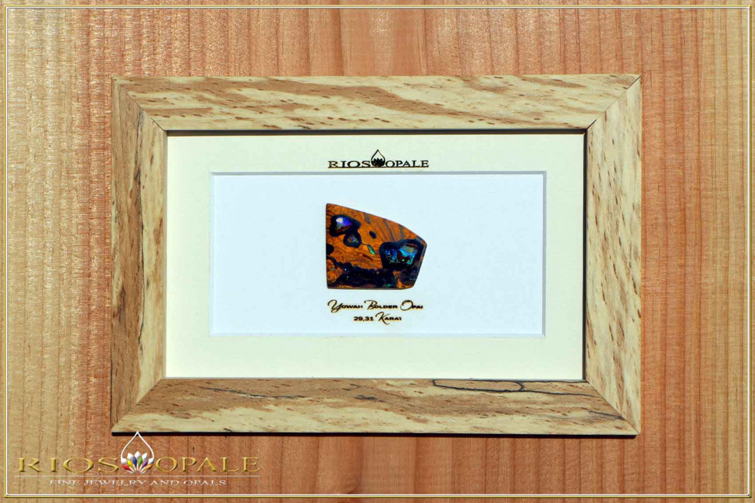 Yowah Boulder Opal - 29,31ct - Gold Edition im 12x18cm Buche gestockt Holzrahmen