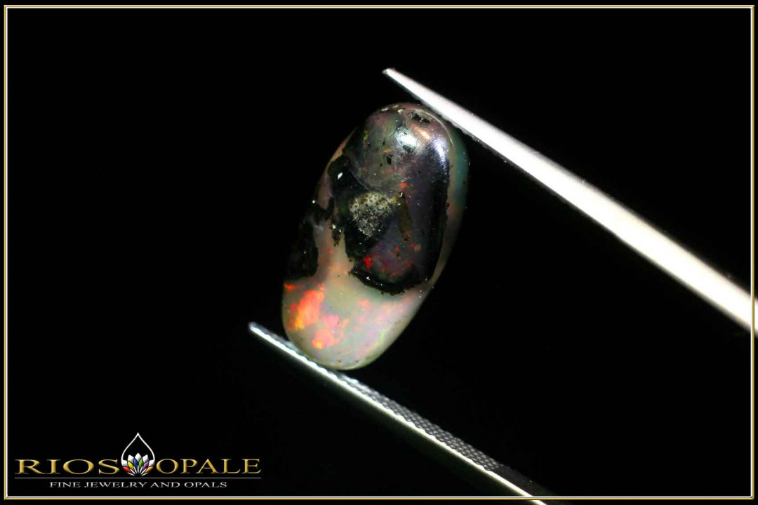 Banten Holzfossil Opal - 6,14ct