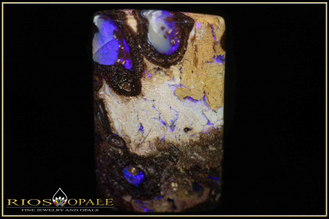 Jundah opalisiertes Holz Pipe Boulder Opal - 71,47ct