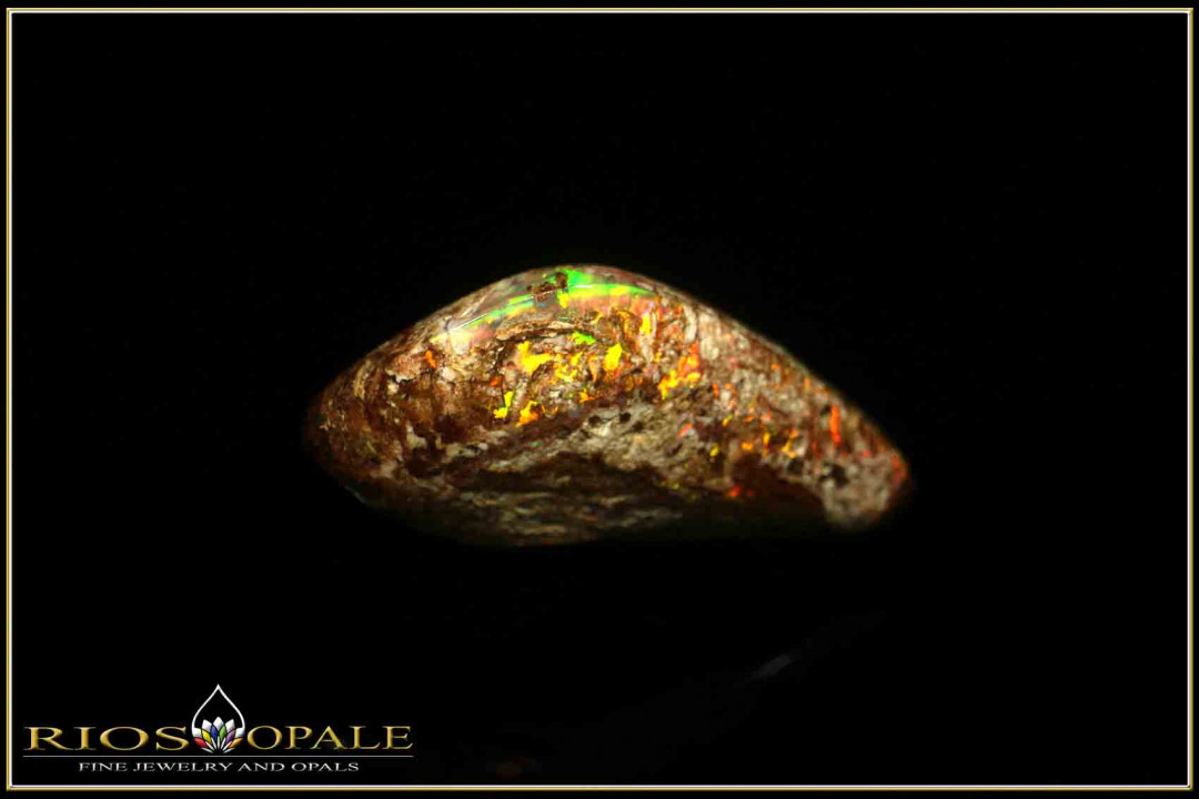 Jundah opalisiertes Holz Boulder Opal - 6,65ct